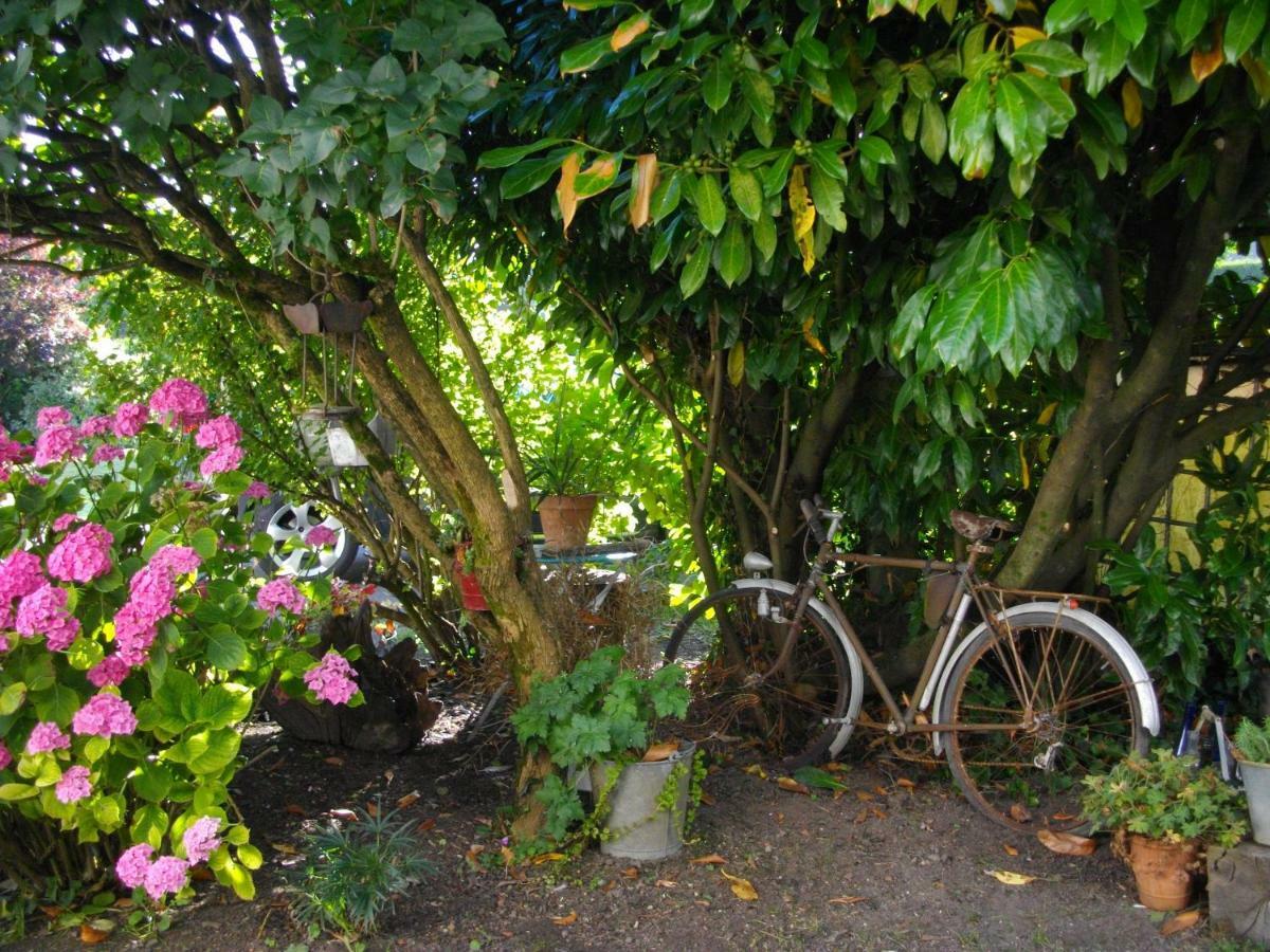 Bed & Breakfast Au Bois Dormant *